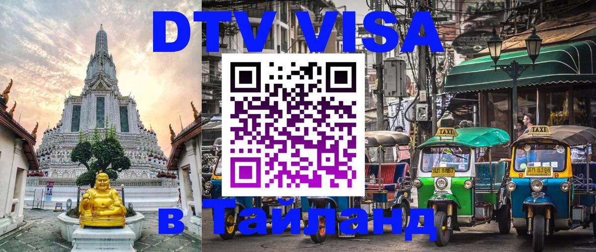 Оформление DTV визы под ключ: стоимость и тарифы, только загранпаспорт - Грозный  19.11.2025 